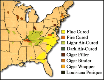 Pěstování různých druhů tabáků na území USA, kolem roku 2000